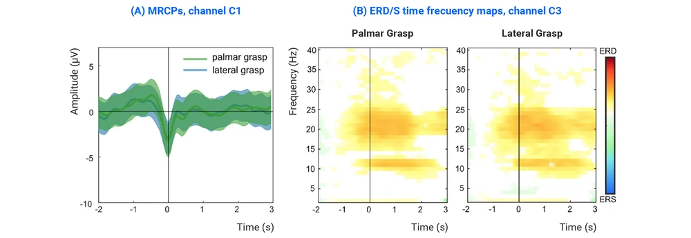 Eeg Correlates Grasping Using Hero Headset by Bitbrain