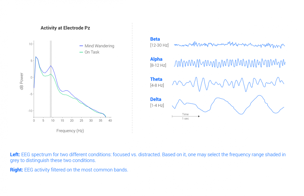 Eeg Bands Brain Waves