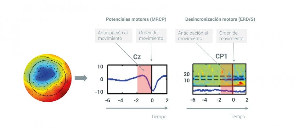 gráfica de cómo funciona la interfaz cerebro computador brain-to-vehicle para adelantarse a los movimientos del cerebro del conductor cuando está conduciendo en un automóvil