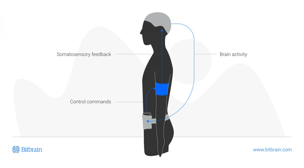 Subliminalhomerehab Figure 1