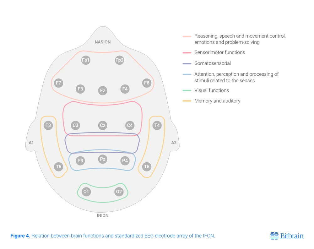 eeg electrode placement