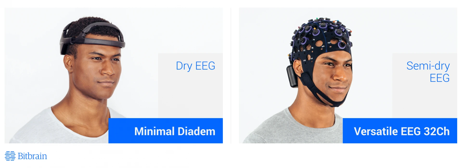 How to Select Dry Egg Bitbrain 1