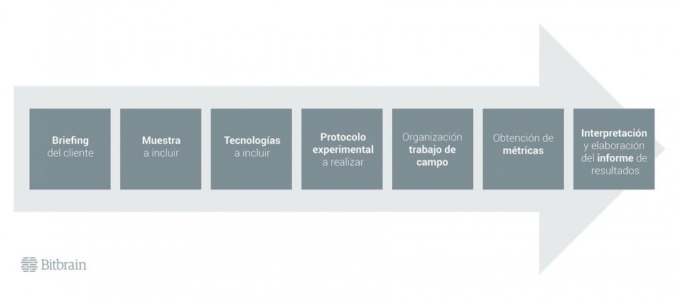 Infografia 2 Fases Estudio Neuromarketing Metodologia