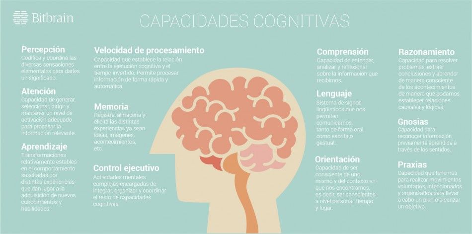 infografía que explica las capacidades cognitivas y las funciones ejecutivas que pueden ser mejoradas con estimulacion cognitiva