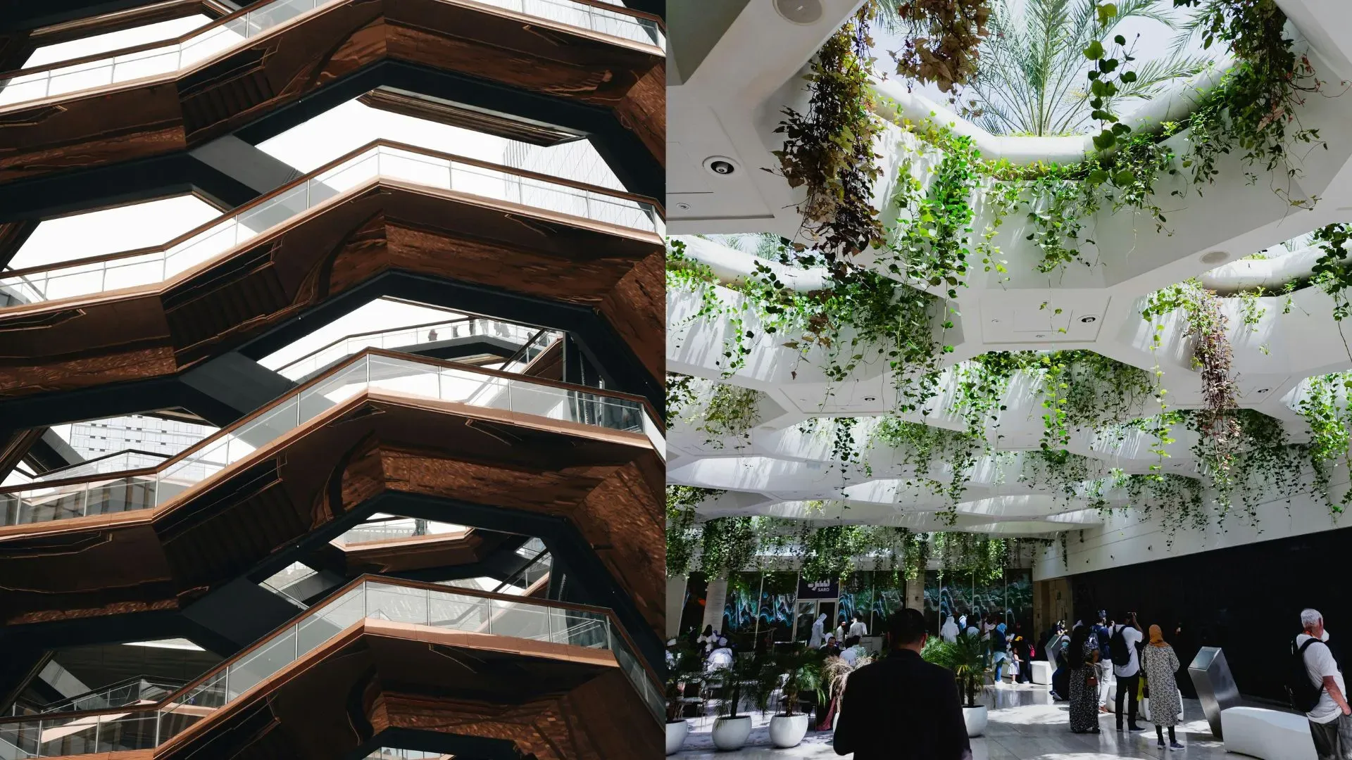 Biophilic Architecture Vs Non Biophilic Space