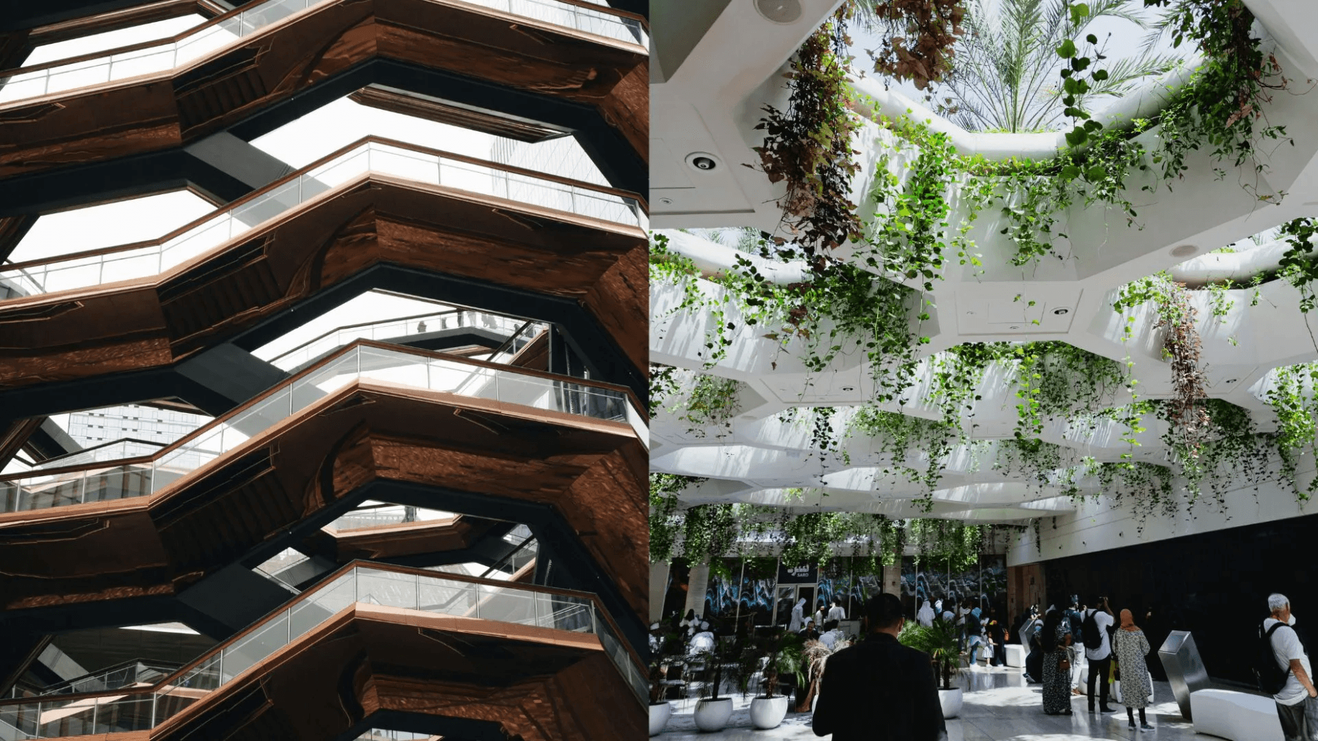 Biophilic Architecture Vs Non Biophilic Space