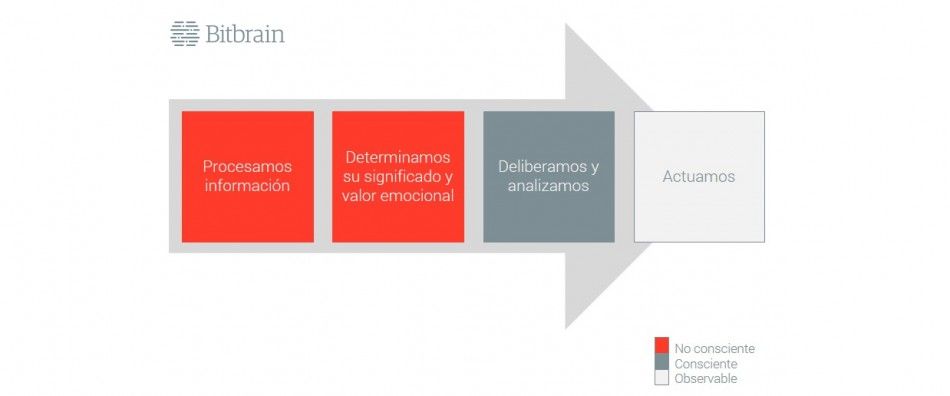 esquema del modelo de actuación human para explicar cómo realizamos la toma de decisiones