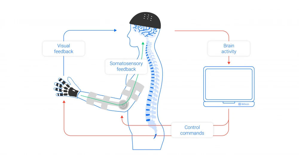 Eeg Based Bci Bitbrain