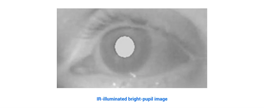 Eye Tracking Bright Pupil System