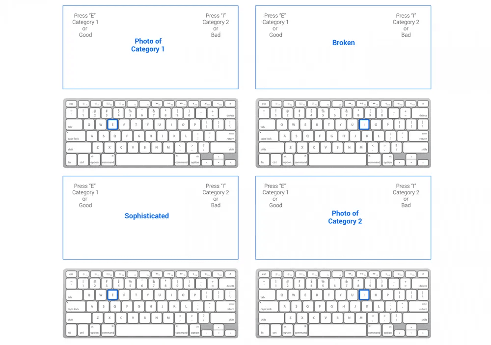 Iat Test 2