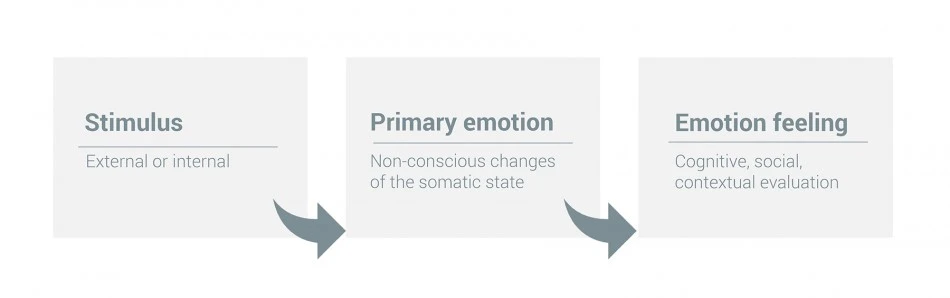 emotions and feelings processing infographic