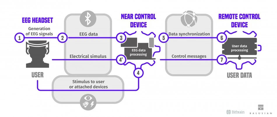 Architecture of Bci Solution 