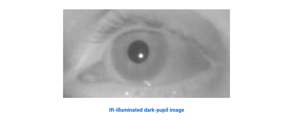 Eye Tracking Dark Pupil System