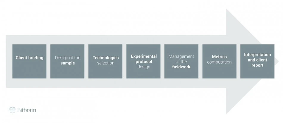 Neuromarketing Study Phases