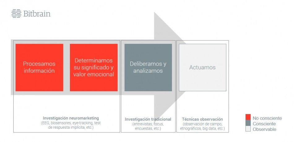 esquema del modelo de actuación del ser humano para saber cómo y por que sentimos y analizar con investigación de mercados y neuromarketing