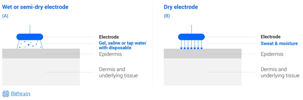 Wet Eeg Cap Vs Dry Eeg Electrodes