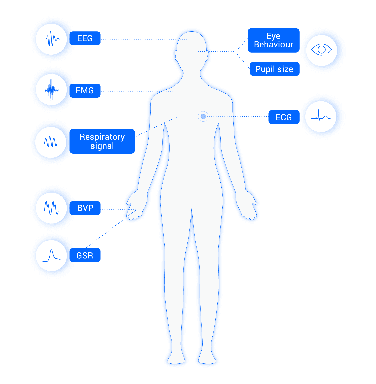Gráfico Señales Y Bioseñales