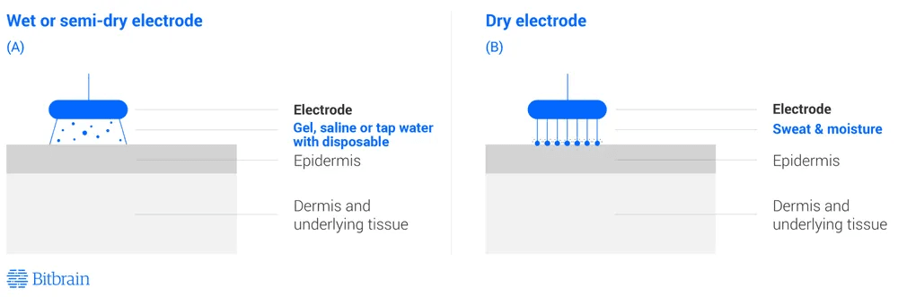 Comparative diagram of a wet/semi-dry EEG electrode interface (using gel/saline) vs. a dry EEG electrode interface (using natural sweat/moisture) on the skin.