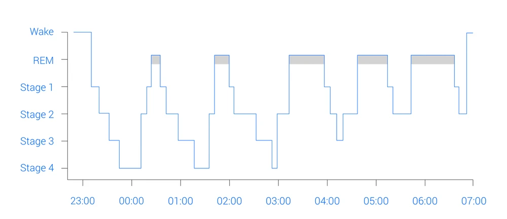 Sleep EEG Stages Graph 