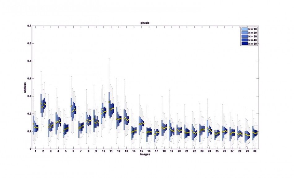 neuromarketing GSR results 