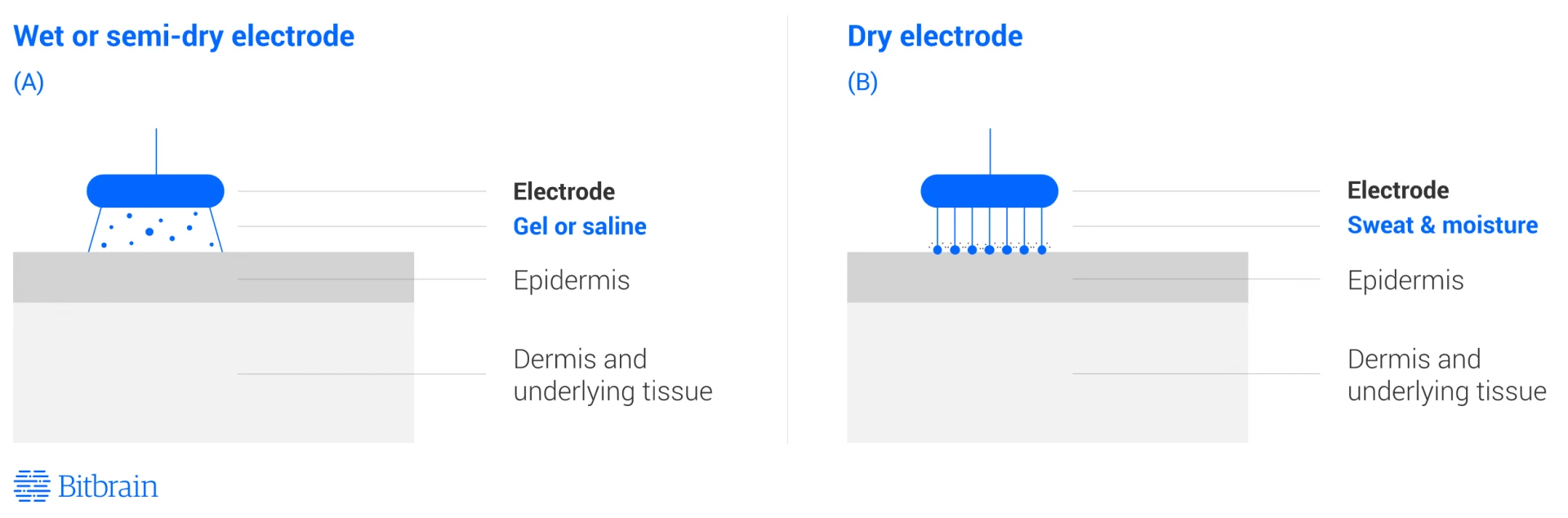 Type of Eeg Sensors Bitbrain