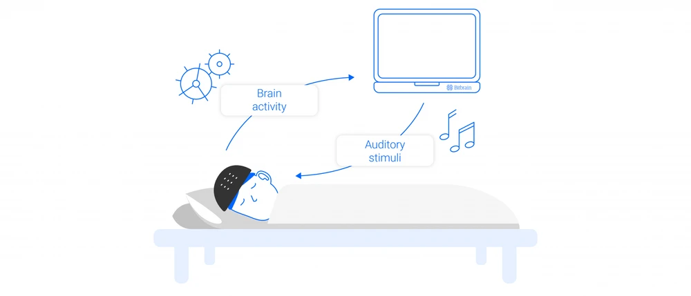 Sleep Enhancement Eeg 0