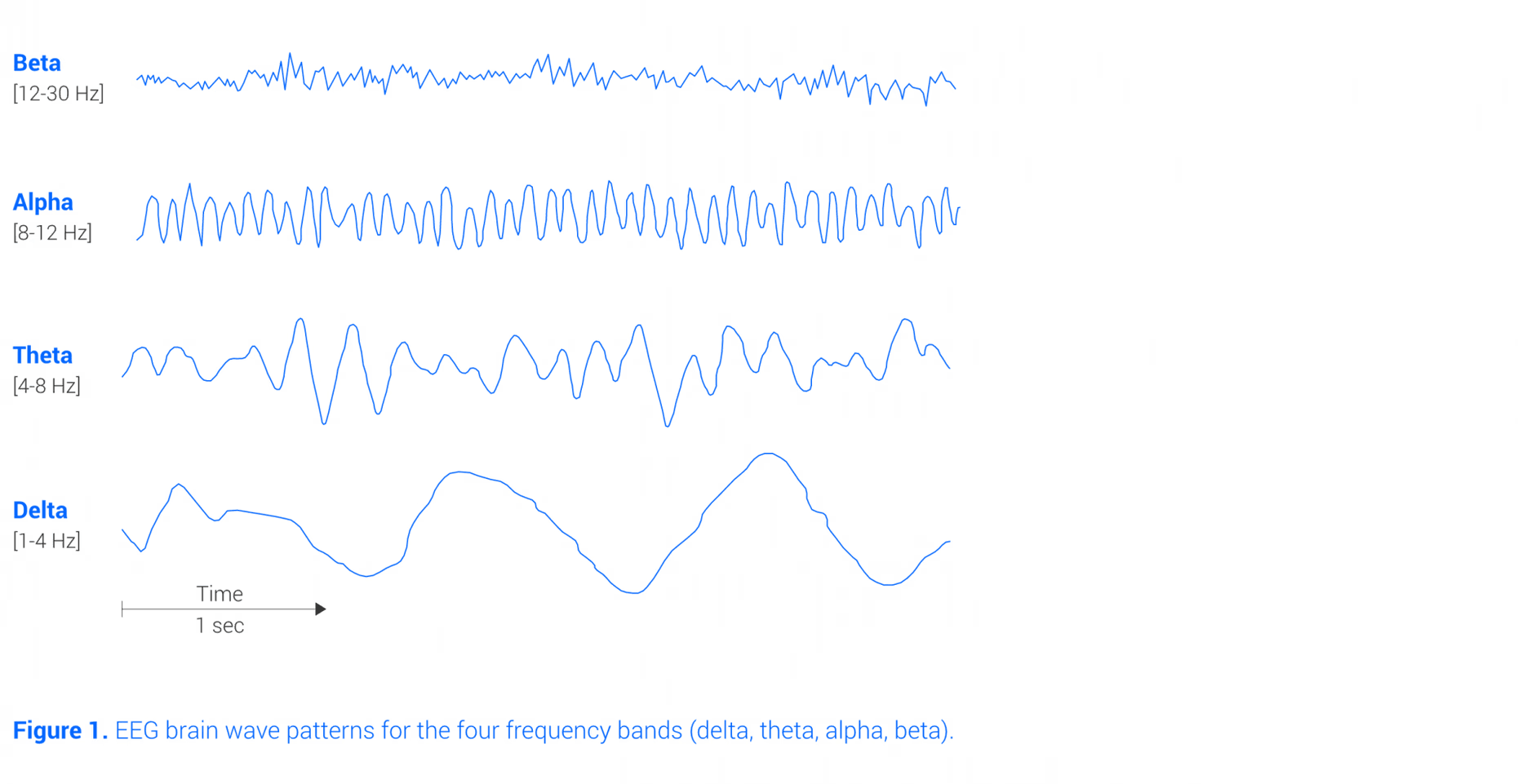 Mapas de actividad cerebral EEG que muestran las cuatro bandas de frecuencia principales: delta, theta, alfa y beta.