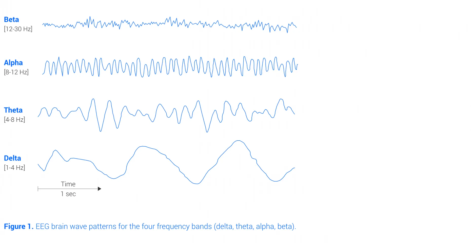 Brain Waves Eeg 0