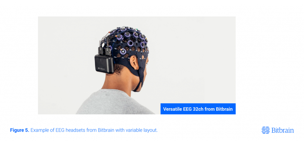 Eeg Cap